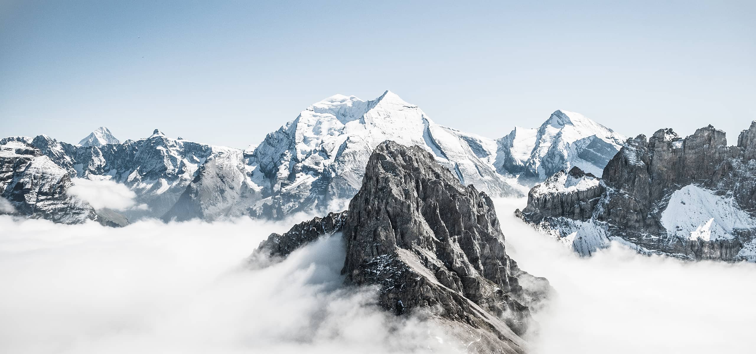 西安泽众新未来